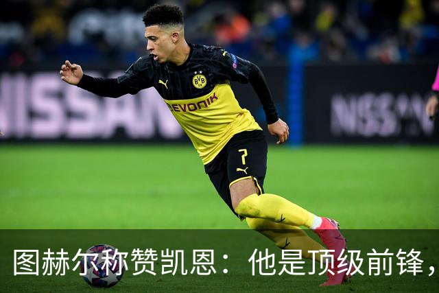 图赫尔称赞凯恩：他是顶级前锋，难再遇同类